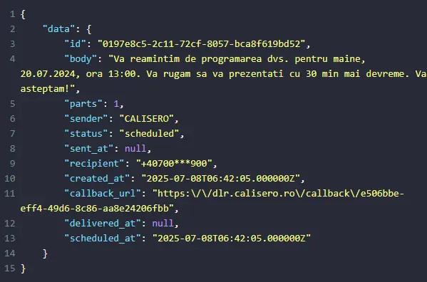 API Response Log Example